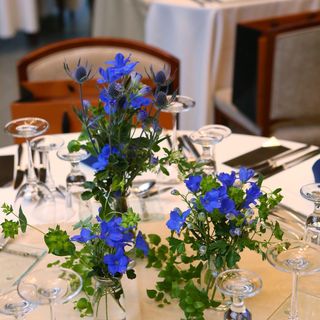 ch.iwddさんの写真