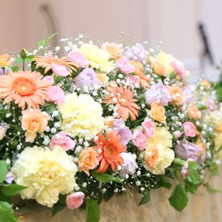 tsun_rikoさんの写真