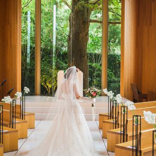 miki2451wd_babyさんの写真