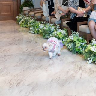 ___821.aさんの写真