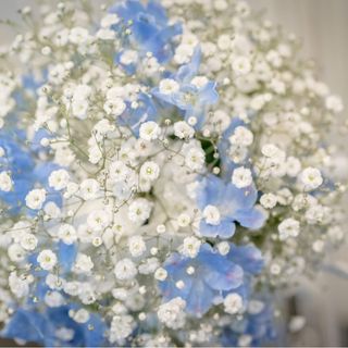 df_df0611さんの写真