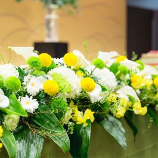 yomechan.nokoさんの写真