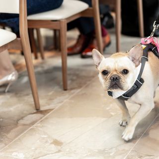 wedding_rrrさんの写真