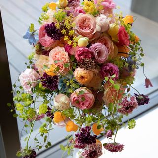 tabaimi0313さんの写真