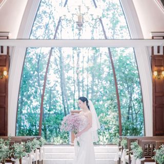 ___mayazouさんの写真