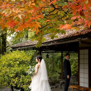 _ndwd_さんの写真