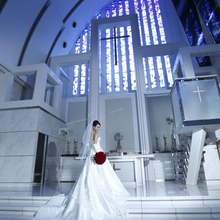 shicharoさんの写真