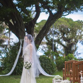 aaa______________mさんの写真