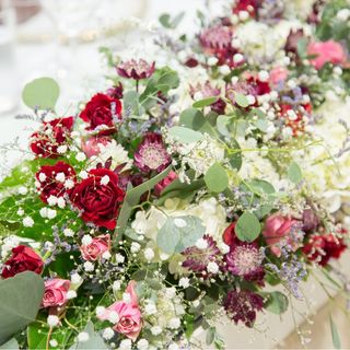 kanda_erinaさんの写真