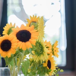 mywd20200823さんの写真