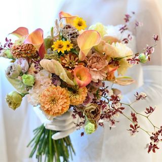 ruikombuさんの写真