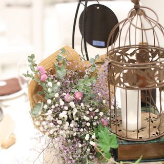 Satomiさんの写真