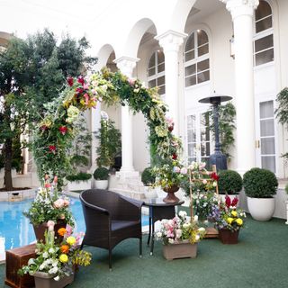 y__wd0314さんの写真