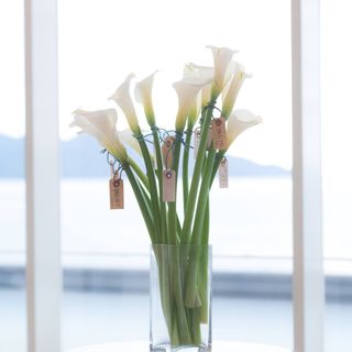 an_1101wdさんの写真