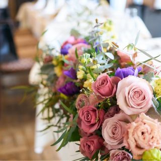 やねさんの写真