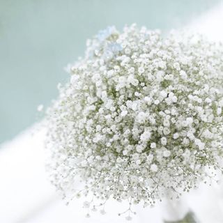 hrkaaa15さんの写真