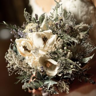 yuukonomaさんの写真