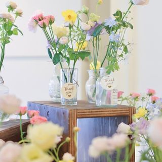 wd_mi_yan0101さんの写真