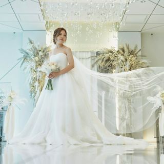 knknkn_13さんの写真