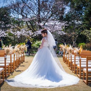 momo_wd_0319さんの写真