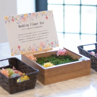 kaaaa_na1113さんの写真