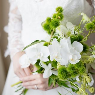 yu_0930_wdさんの写真