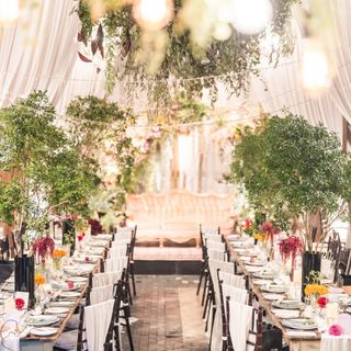 kinoko1118.wさんの写真