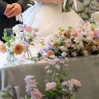 文旦みかんさんの写真