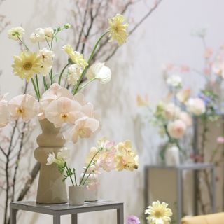 yu_trunk_さんの写真