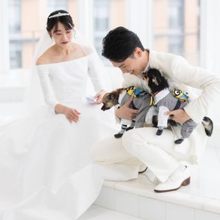 ym1010.wdさんの写真