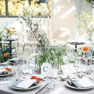 mal_trunk_wd_ambさんの写真