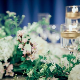 ywd.2404さんの写真