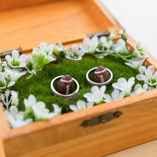 wd_momo0617さんの写真