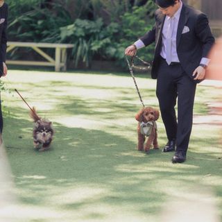 shiokarubiさんの写真