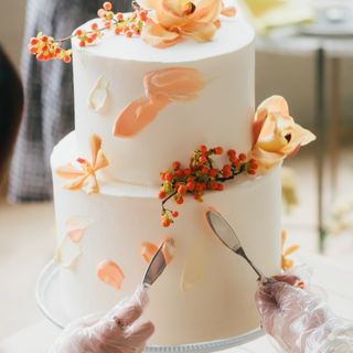 mi.dayo_さんの写真