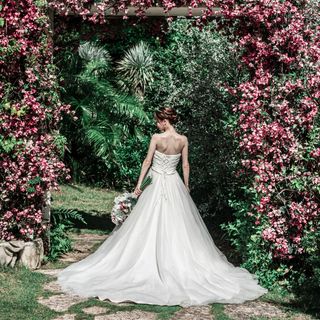 aamm_wd_さんの写真