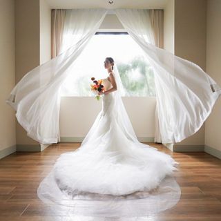 ____sola.____さんの写真