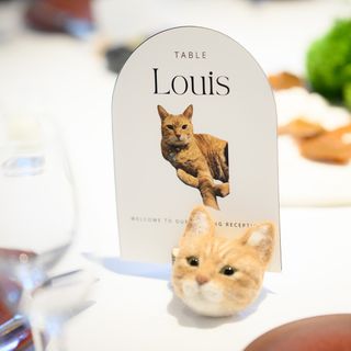 y.c__wdさんの写真