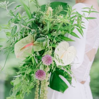 tubaki_34さんの写真