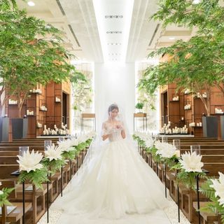 ynm0342さんの写真