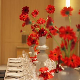 trunk_1amさんの写真