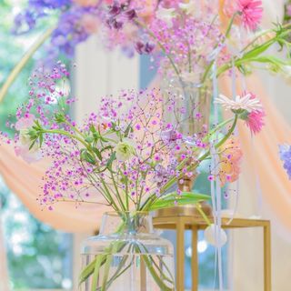 ponc__wdさんの写真