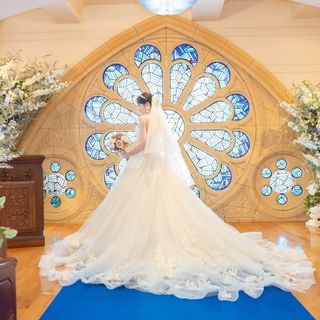 momo_wd_202510さんの写真