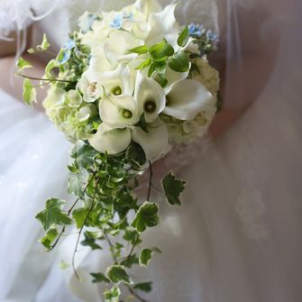 挙式ブーケ
フラジャイルさんにお願いしました
クラッチブーケをベースに、
グリーンでキャスケード風にしました。
お花はカラー、紫陽花をメインに
サムシングブルーで、ブルースターを入れました。