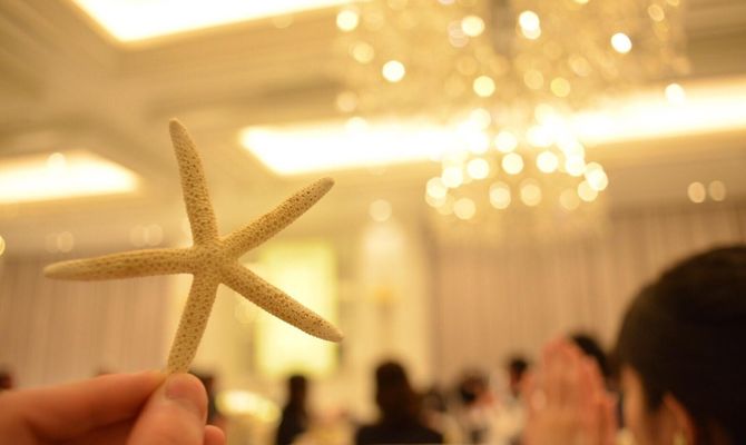 各テーブルに飾った貝殻