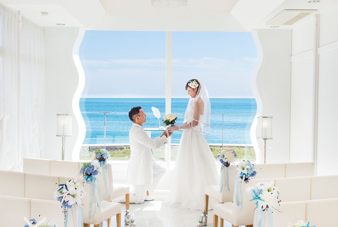 はまなす海洋館のカバー写真