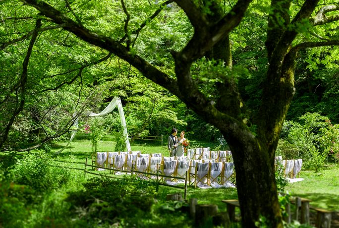 六甲山サイレンスリゾートのカバー写真