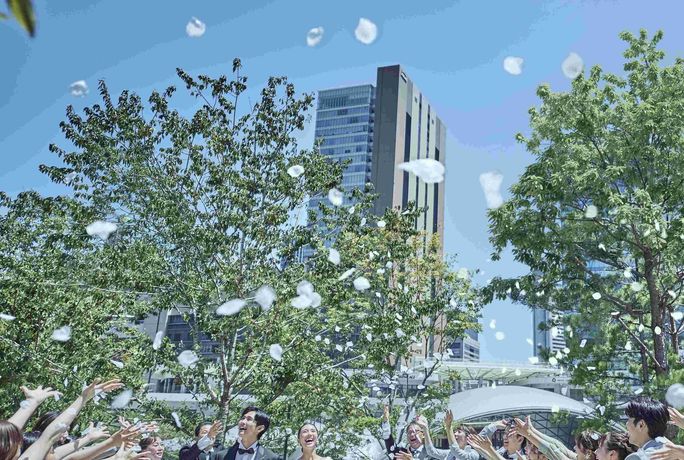 ザ ジャクソン ガーデン(THE JACKSON GARDEN)のカバー写真