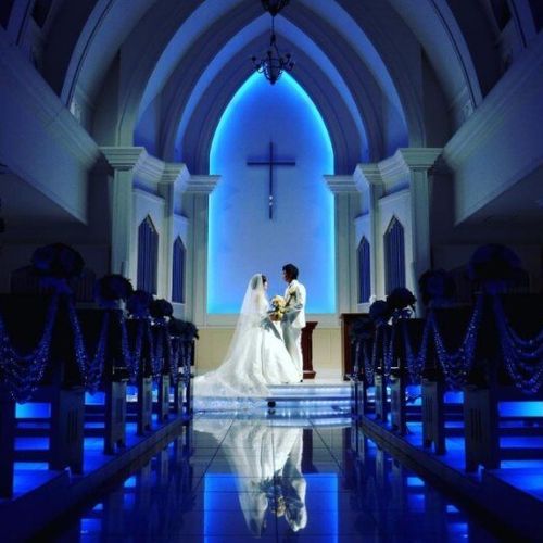 ベルルクス・プチの公式写真2枚目