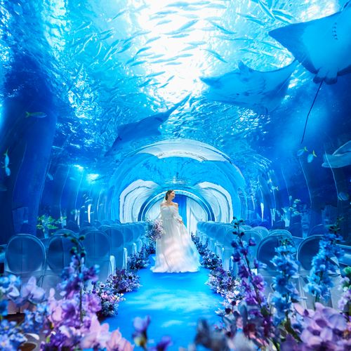 品川プリンスホテルの公式写真3枚目